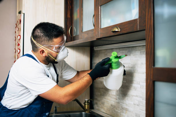 Best Termite Control Services  in Milan, MO