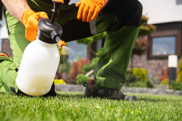 Best Emergency Pest Control  in Milan, MO