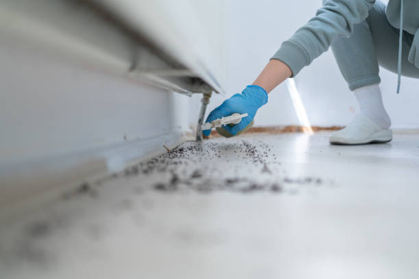 Reliable Milan, MO Pest Control Solutions